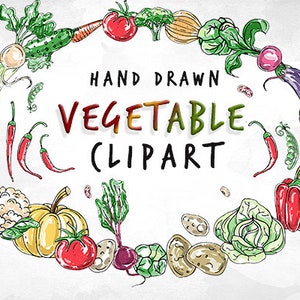 Hand Drawn Vegetable Clipart, Watercolor Food Clipart, Veggie Clipart, Healthy Food Clipart, Garden Clipart, Digital Instant Download,