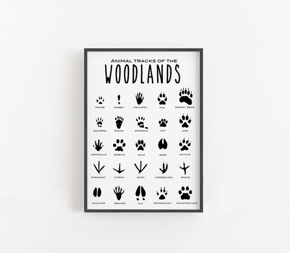 Woodland Tracks Hanging Poster, Canvas Artwork Woodland Nursery Decor 16x20