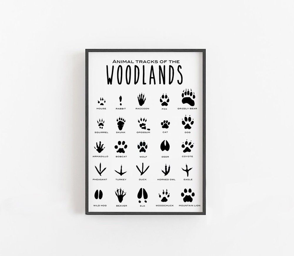 Animal Tracks Print Animal Tracks of the Woodland Printable - Etsy