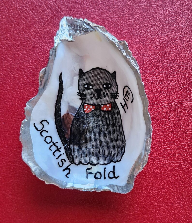 Shell of Whisker Scottish Fold or Ornament Etsy