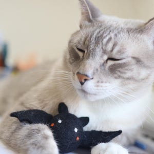 以下が含まれることがあります： 目を閉じたグレーと白の猫が白い表面に横たわっています。猫は、白い目とオレンジ色の鼻を持つ黒いフェルトの蝙蝠の玩具を持っています。