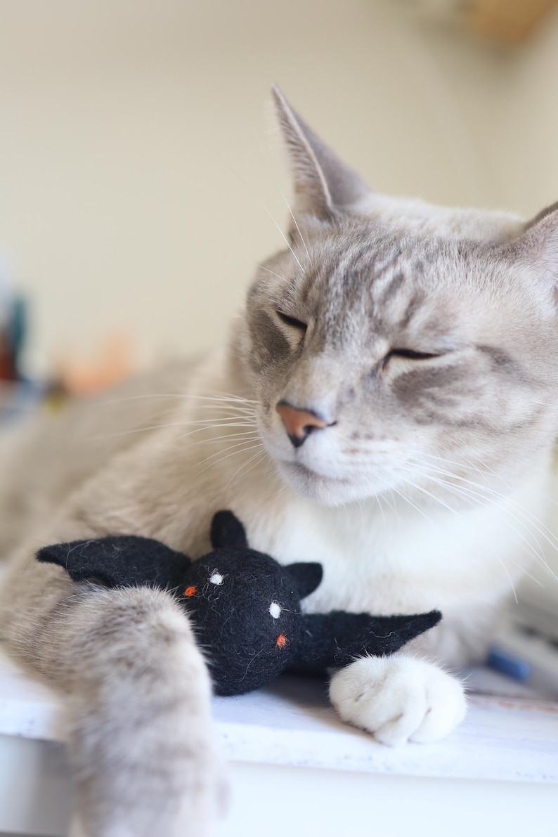 以下が含まれることがあります： 目を閉じたグレーと白の猫が白い表面に横たわっています。猫は、白い目とオレンジ色の鼻を持つ黒いフェルトの蝙蝠の玩具を持っています。