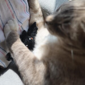 以下が含まれることがあります： 白とグレーの毛並みの猫が、ストライプの布の上に横たわっているクローズアップ。猫は右を見ており、その足は黒と白のぬいぐるみの上に置かれている。