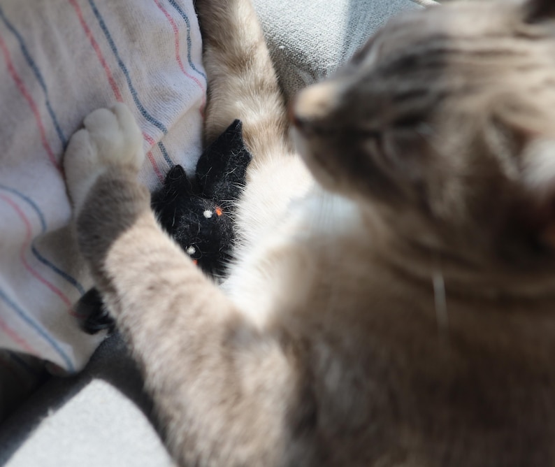 以下が含まれることがあります： 白とグレーの毛並みの猫が、ストライプの布の上に横たわっているクローズアップ。猫は右を見ており、その足は黒と白のぬいぐるみの上に置かれている。