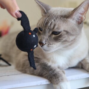 以下が含まれることがあります： 緑色の目をしたグレーと白の猫が、オレンジ色の目をした黒いフェルトの蝙蝠の玩具を見ている。猫は白い表面に横たわっている。