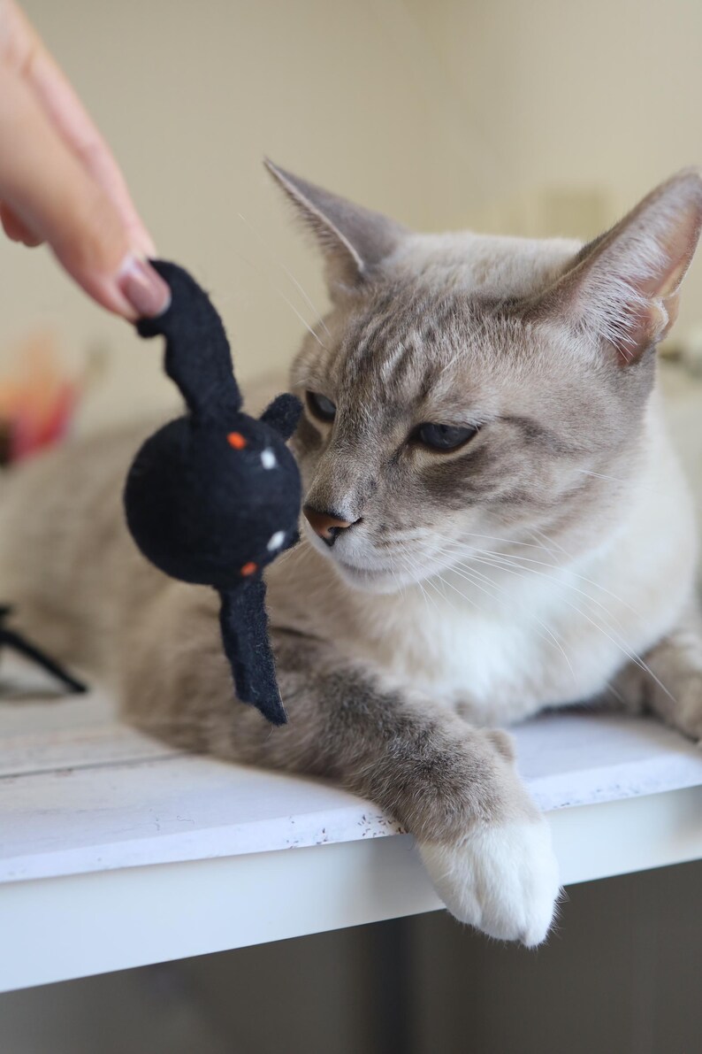 以下が含まれることがあります： 緑色の目をしたグレーと白の猫が、オレンジ色の目をした黒いフェルトの蝙蝠の玩具を見ている。猫は白い表面に横たわっている。
