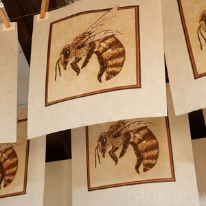 May include: Multiple prints of a bee illustration hanging on a clothesline to dry. The bee is drawn in brown ink on a beige background with a brown frame.