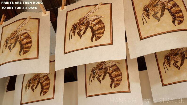 May include: Multiple prints of a bee illustration hanging on a clothesline to dry. The bee is drawn in brown ink on a beige background with a brown frame.