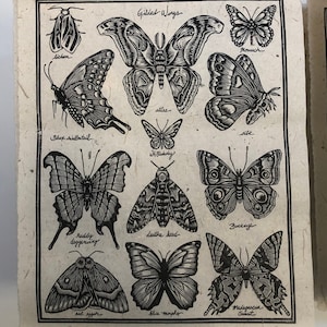 Moth Block Print, Butterfly Block Print, Linocut Print, Botanical Print, Handmade Artwork, Original Block Print, Gift for Nature Lover