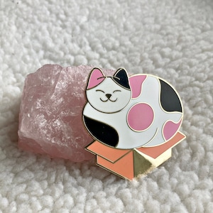 Calico Cat in a Box - Enamel Pin