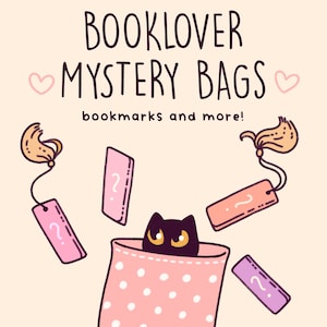 Booklover Mystery Bag