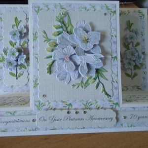 Platinum Wedding Anniversary Card for Wife/Husband/Mum&Dad/Friends etc. Free Delivery to UK