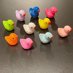 mini magnets - duck magnets - set of 10 - miniature animal fridge magnet set