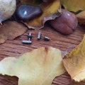 Vertical bar stud earrings. product logo