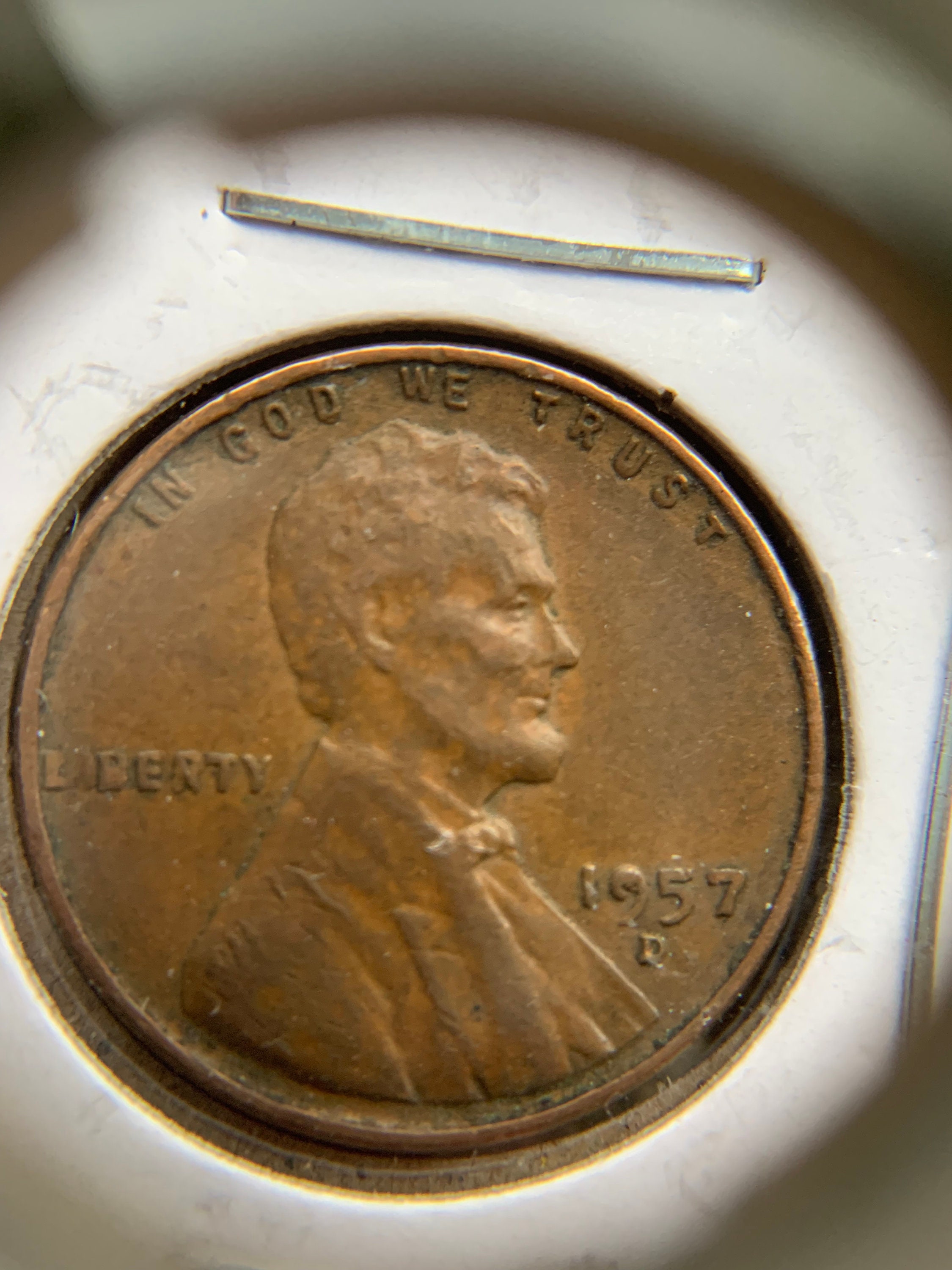 Wheat Pennies 1957Craigslist Columbia South Carolina Free Stuff - ayalxsv