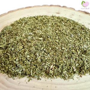 Alfalfa