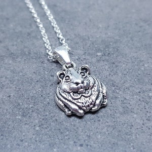 Cavia ketting, cavia choker, cadeau voor cavia-eigenaar, huisdierverlies, cavia-sieraden
