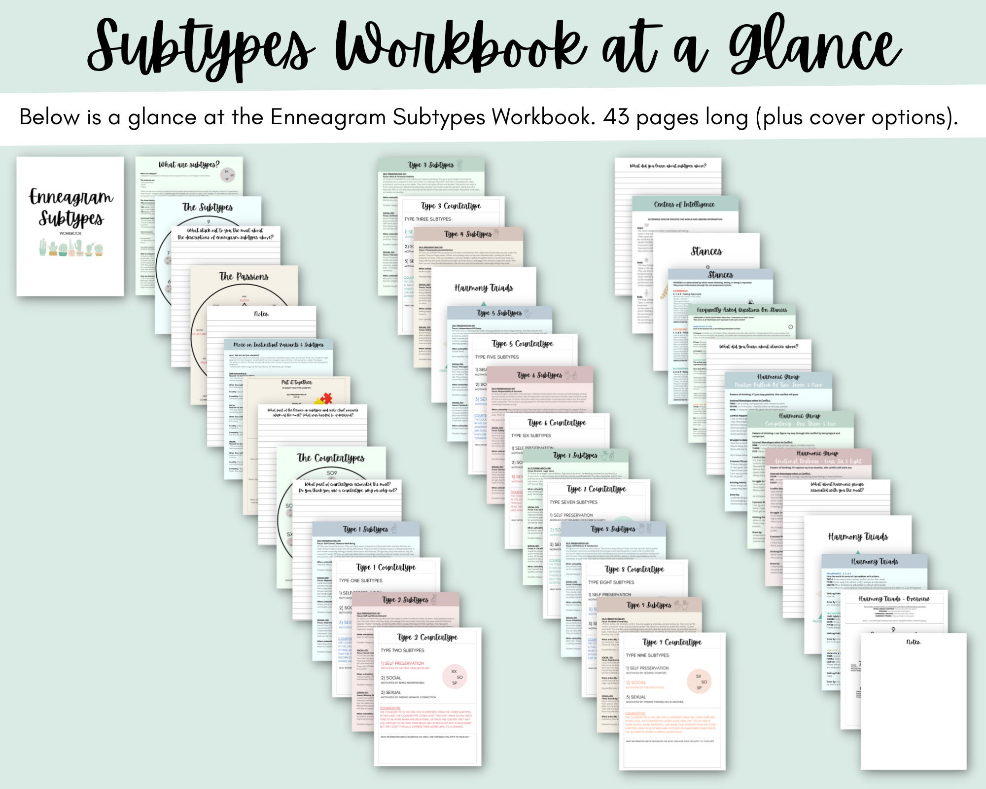 Enneagram Subtypes Workbook: Types 1-9, Self Preservation, Social ...