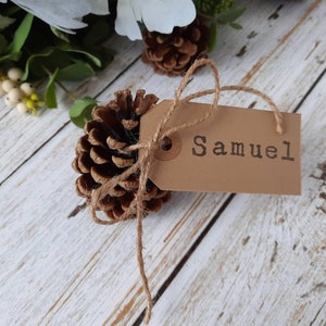 Christmas Pine Cone Place Settings Table Place Cards Placecard Names Personalised Party Xmas Wedding Occasion Festive Decoration Name Holder