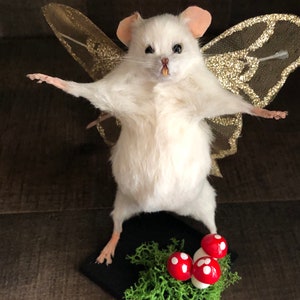 Fairy Mouse/Mouse Taxidermy/Woodland Creatures/Butterfly