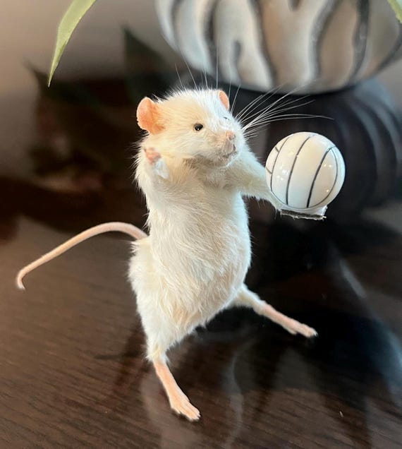 A real taxidermied mouse posed holding a tiny volleyball — absurdist handmade craft that is equal parts weird, funny, and genuinely impressive.