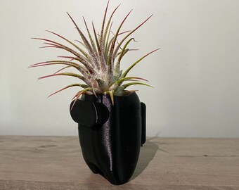 Among Us Air Plant Planter: Modern Gamer Desk Decor with Live Tillandsia