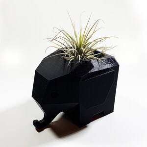 Geometric Elephant Air Plant Planter: Black Zen Desk Decor with Live Tillandsia