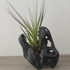 T-Rex Dinosaur Black Fossil Air Plant Display Desk Planter Low Poly Modern Decor decorative Plant with Live Airplant Tillandsia