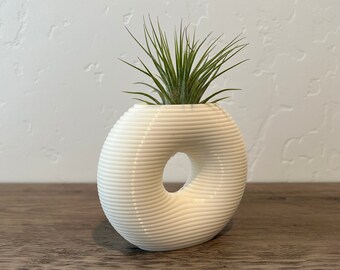 Donut Hole Vase: Modern Air Plant Planter with Live Tillandsia