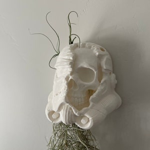 May include: White ceramic skull planter with a plant growing out of the top. The skull is cracked and broken, with a hole in the top for the plant to grow through.
