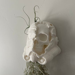 Star Wars Storm Trooper Battle Skull White Air Plant Display Wall Planter Modern Decor decorative Plant with Live Airplants Included