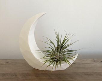 Crescent Moon Air Plant Display Desk Planter Low Poly Drop Proof Modern Decor decorative Plant with Live Airplant Tillandsia