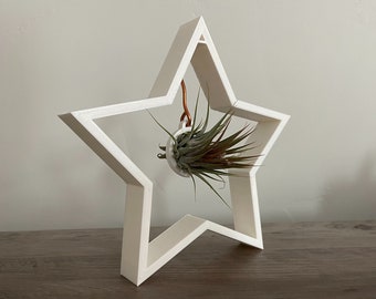 Star Air Plant Planter: Modern Minimalist Decor with Live Tillandsia