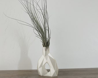 Geometric Donut Hole Air Plant Planter with Live Tillandsia