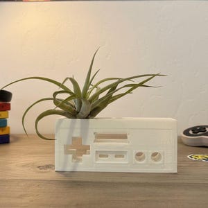 Retro Gaming Gift Desktop Plant and Planter Combo Air Plant Gamer Controller