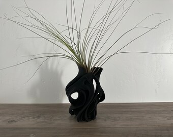 AI Generated Air Plant Display Black Indoor Vase Artificial Intelligence with Live Tillandsia