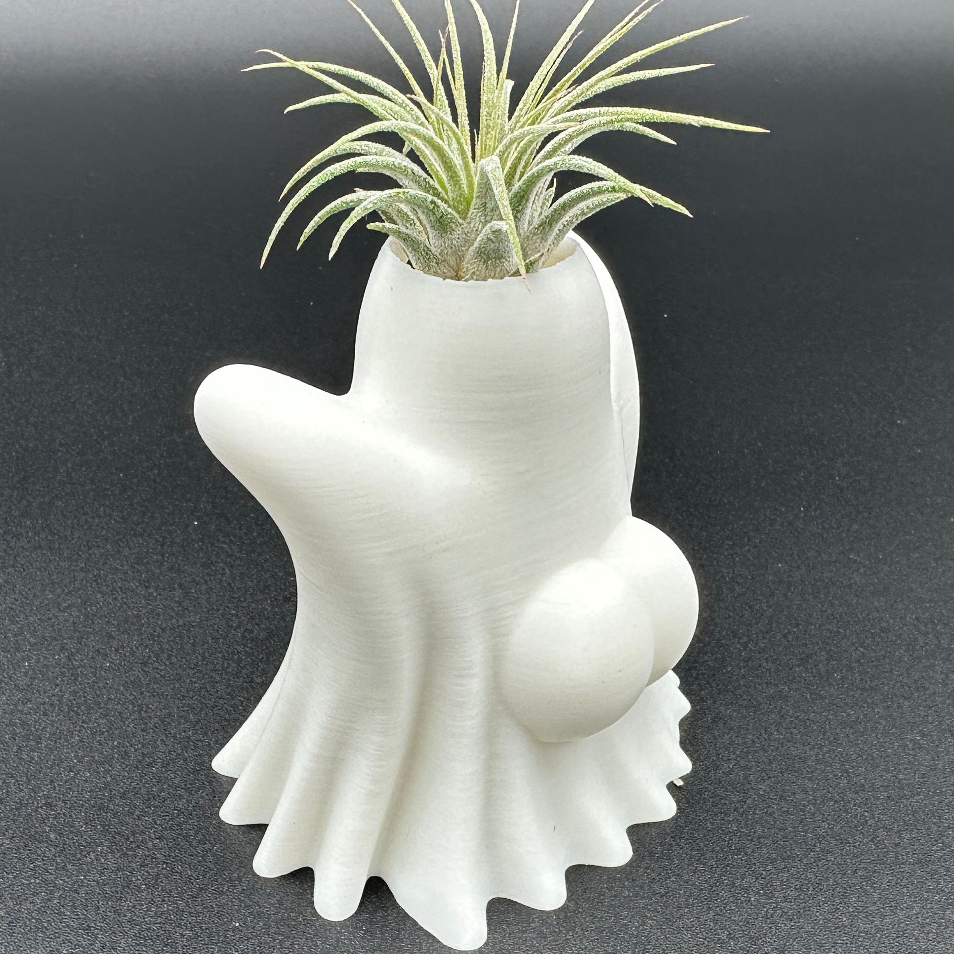 👻Hilarious Air Plant Display-Big Booty Ghost Planter💦