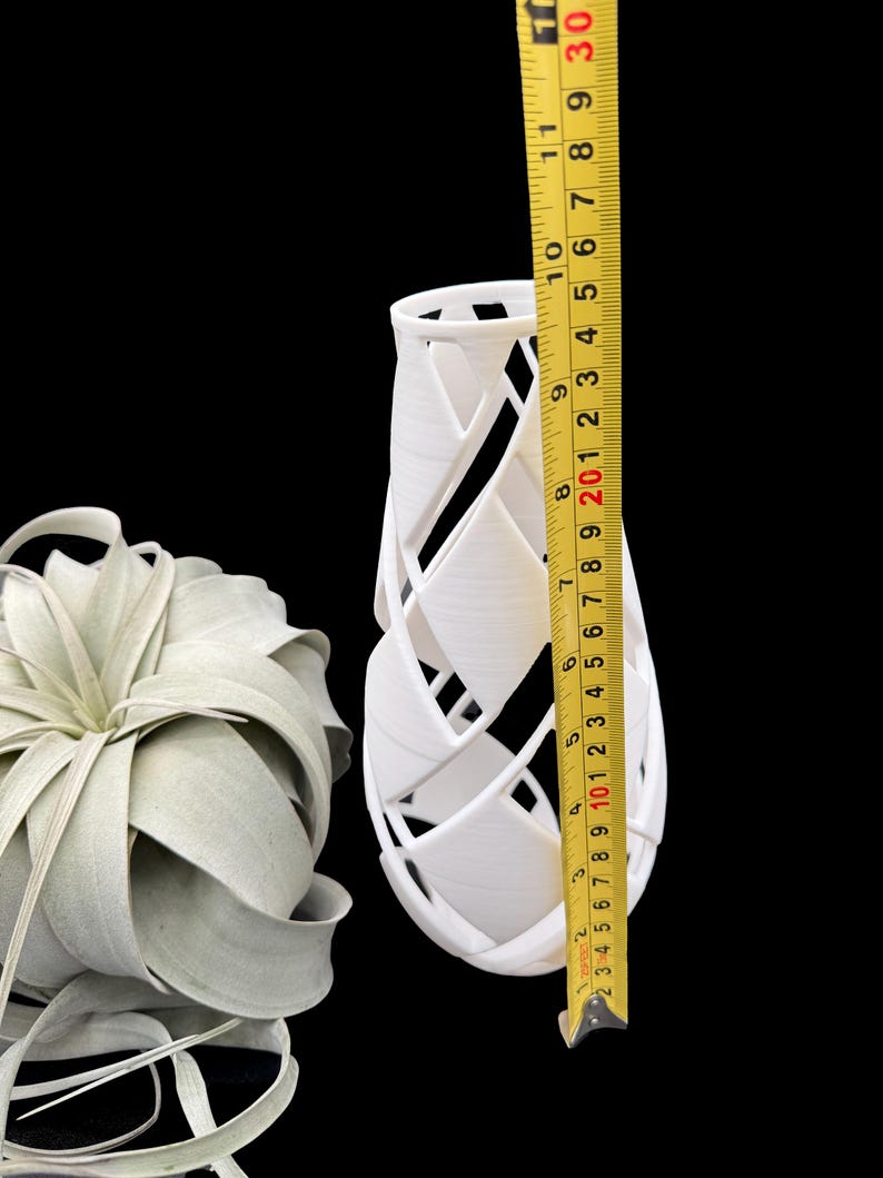 XXL Tillandsia Air Plant Display: Modern Vase Planter - Thumbnail 4
