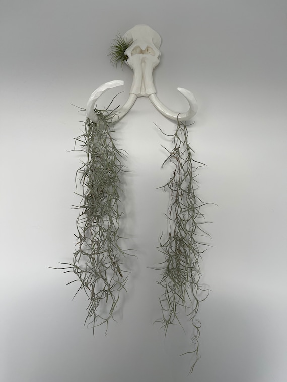 30 Artificial Spanish Moss Plant -Green/Gray