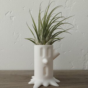 May include: White ceramic planter shaped like a tree trunk with a face, holding a green air plant.