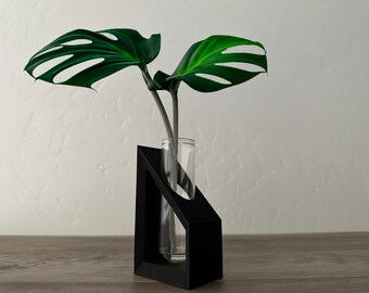 Propagation Station - Modern Black Faceted Planter with Large Glass Test Tube - Plant Propagation