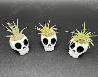Mini Skull Planter with Air Plant: 3D Printed Gothic Home Decor