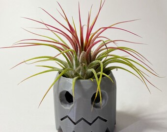 Pacman Ghost Air Plant Planter: Gamer Decor with Live Tillandsia