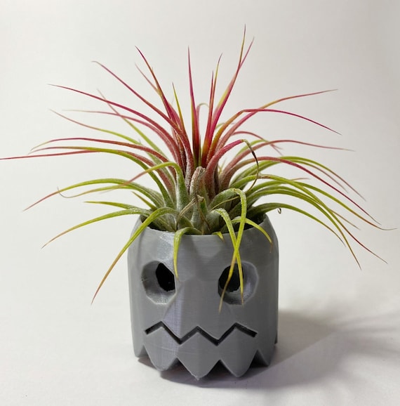 Pacman Ghost Gamer Inspired Air Plant Display Desk Planter Drop Proof  Modern Decor Decorative Plant With Live Air Plant 