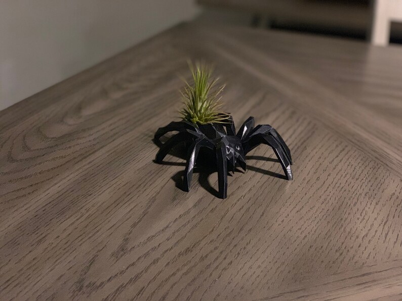 Black Spider Air Plant Holder