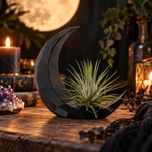 Support pour plante aérien en forme de croissant de lune sombre : jardinière moderne en PLA avec Tillandsia vivant