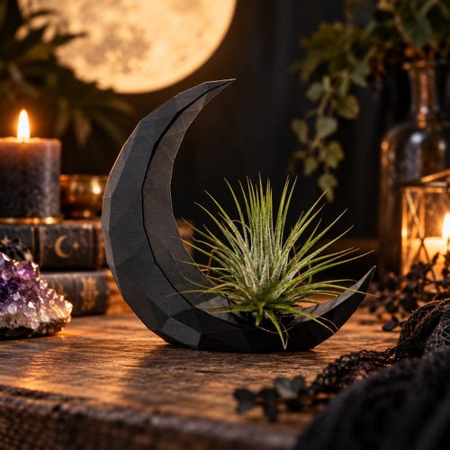 Dark Crescent Moon Air Plant Holder: Modern PLA Planter with Live Tillandsia