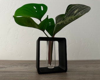 Black Scandinavian Propagation Station: Modern Plant Starter