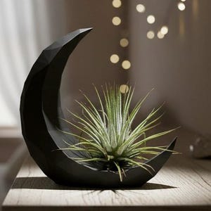 Dark Crescent Moon Air Plant Holder: Modern PLA Planter with Live Tillandsia
