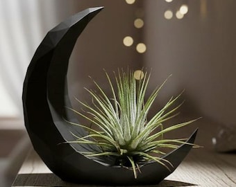 Dark Crescent Moon Air Plant Holder: Modern PLA Planter with Live Tillandsia